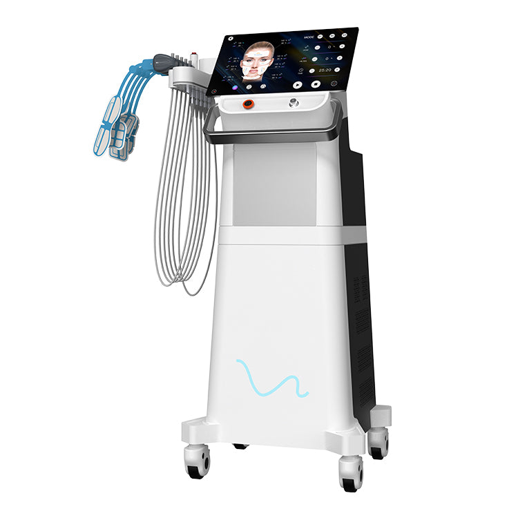 Renaface® RF Electromagnetic Face Lifting Sculpting Machine Price