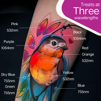 Picoking Picosecond Laser Device For Tattoo Removal